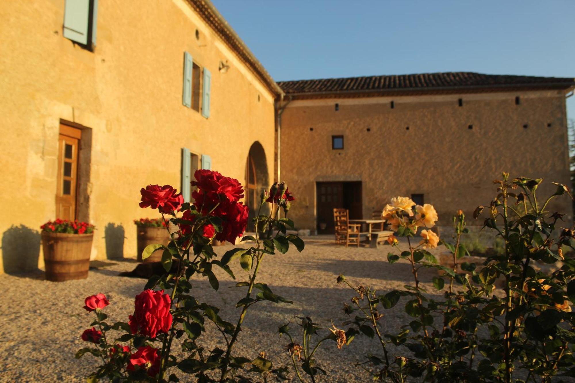 Domaine De La Couderquie Bed and Breakfast Lautrec Eksteriør billede
